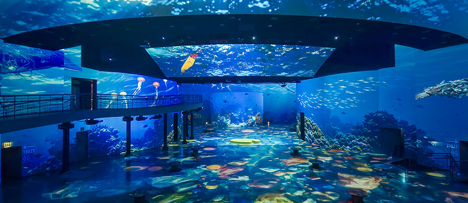 Deep Blue, The Ocean Flow Again